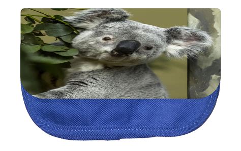 Koala Bear Animal Cosmetic Pouch - Walmart.com