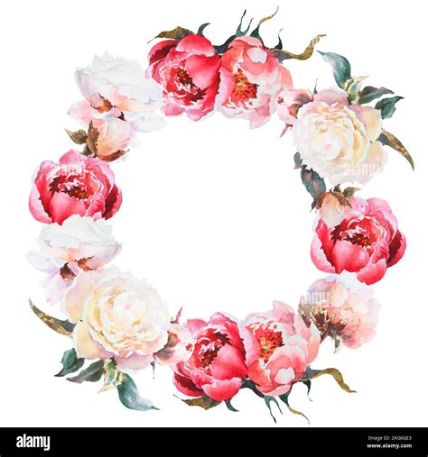 Corona de peonías flores color rosa y blanco acuarela floral clip art