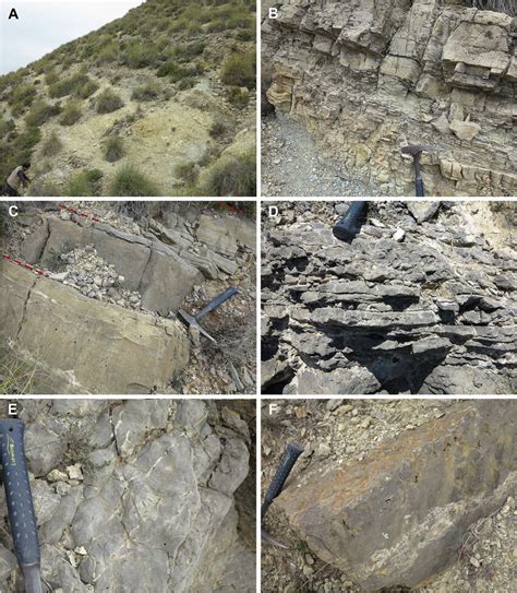 Lithofacies In Outcrops Of The Lower And Middle Units A Lutites