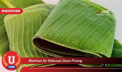 Intip Manfaat Air Rebusan Daun Pisang Yang Jarang Diketahui