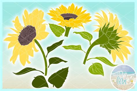 Sunflower Leaves Svg