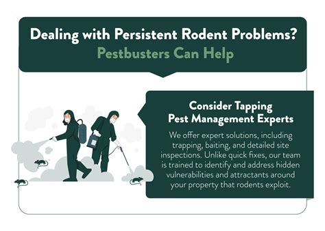 What the Rodent Infestation Cases Around Singapore Tell Us