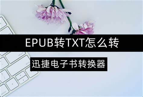 Epub转txt怎么转？分享epub转txt的图文详解