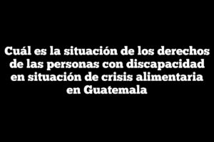 Cuál es la situación de los derechos de las personas con discapacidad