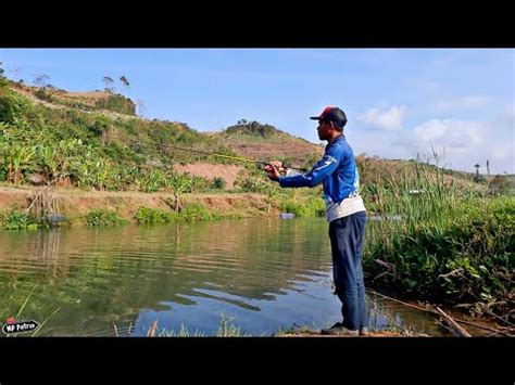 MANCING KAKAP MERAH PREDATOR MUARA CASTING MANGROVE JACK 23 08 20