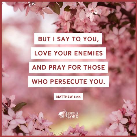 VERSE OF THE DAY But I Say To You Love Your Enemies And Pray For Those