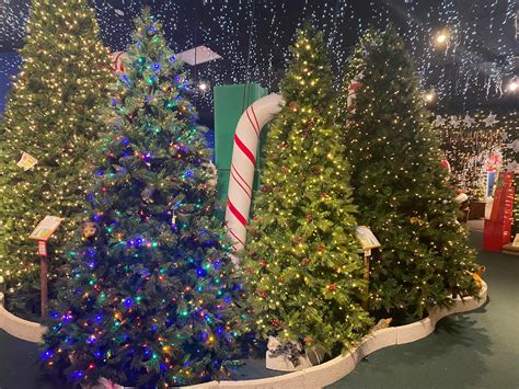 Robert's Christmas Wonderland | Clearwater FL