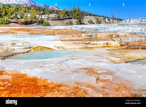 Volcanic Canary Spring Thermal Area Of Main Terrace At Mammoth Hot