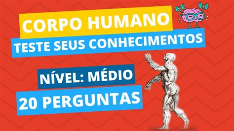 Perguntas E Respostas Sobre O Corpo Humano