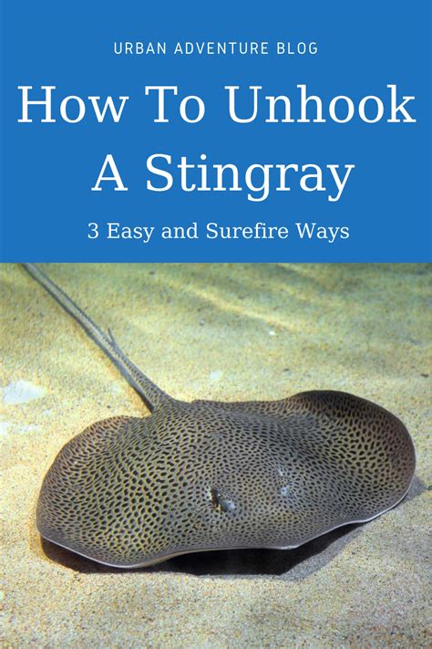 3 Easy And Surefire Ways On How To Unhook A Stingray Artofit