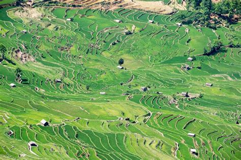 Yuanyang Rice Terraces, Yunnan - China Stock Photo - Image of heritage ...