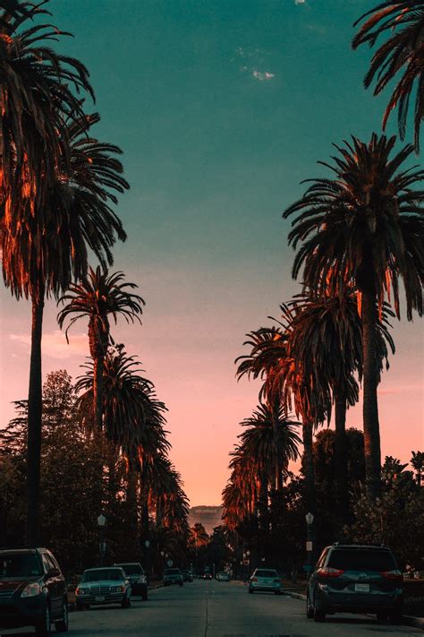 The Ultimate Guide to Moving to Los Angeles - The Inspiration Edit