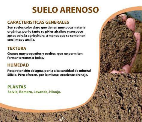 Suelo arenoso - Imagui