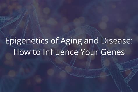 Epigenetics of Aging and Disease: How to Influence Your Genes