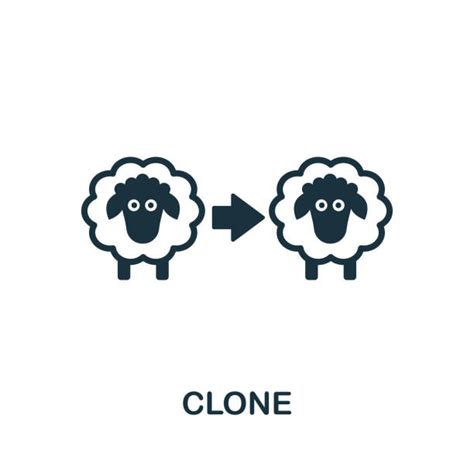 14800 Genetic Cloning Stock Illustrations Royalty Free Vector