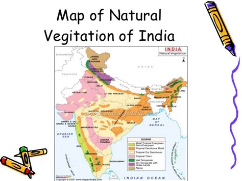 Vegetation In India