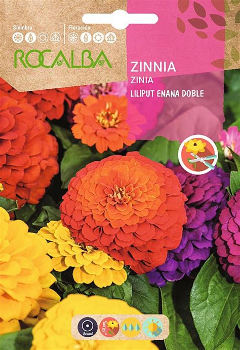 Semillas De Flores Zinia Variada Zinnia Elegans Zinia Liliput Enana