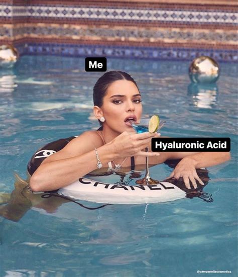 Hyaluronic Acid Meme Skincare Meme Esthetician Quote Kendall Jenner