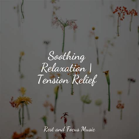 Soothing Relaxation Tension Relief Album By Serenity Spa Music