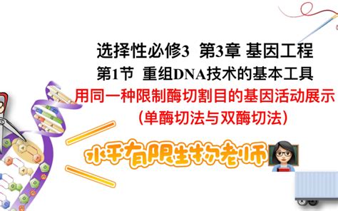 高中生物选择性必修三 第3章 基因工程 用同一种限制酶切割目的基因与质粒单酶切法与双酶切法 水平有限生物老师 水平有限生物老师 哔哩哔哩视频