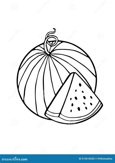 Vector Watermelon Outline Stock Vector Illustration Of Berry