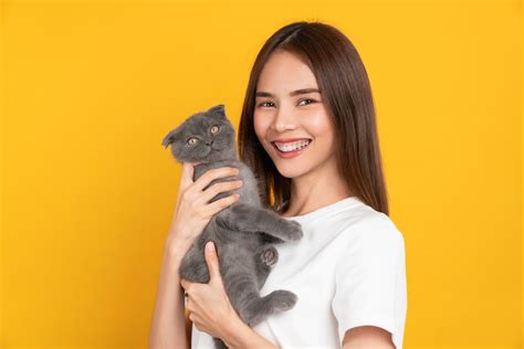 Tips Menggendong Kucing Dengan Benar Bukan Dicubit Tengkuknya