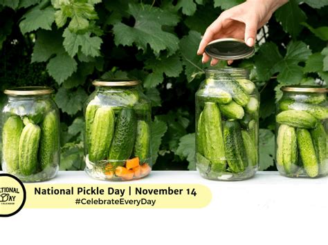 National Pickle Day Schedule Jany Robinette