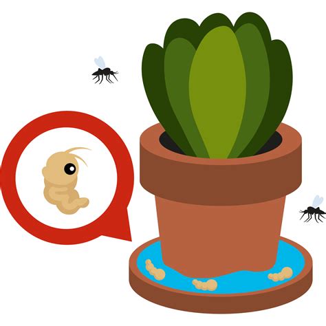 Prevention Of Dengue Poster 11