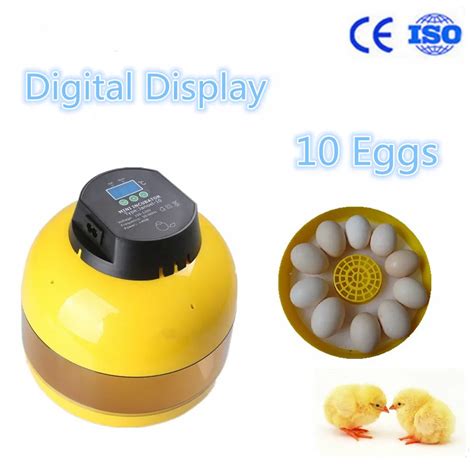 10 mini egg incubator quail manual egg incubator hatching quail eggs ...