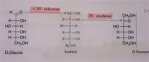 Réduction des oses UE1 Biochimie Tutorat Associatif Toulousain