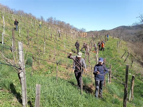 Nos Productions La Ferme Des Cevennes