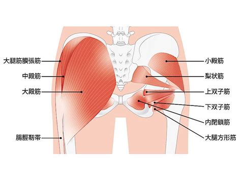 長時間の座り姿勢で起こるお尻の痛み、放置するのは体に良くない？【お尻の弱化】を改善する方法 ヨガジャーナルオンライン