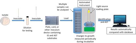 Biochemical And Culture Based Approaches To Identification In The