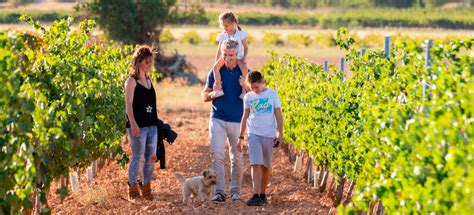 Rutas Del Vino De Espa A Invita A Sus Seguidores En Redes Sociales A