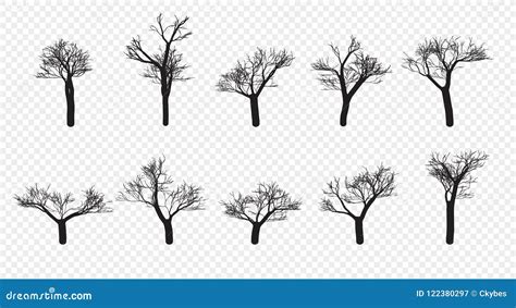 Naked Trees Silhouettes Set Hand Drawn Isolated Autumn Spring Fall Vector Stock Vector