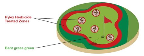 Pylex Herbicide Nuturf