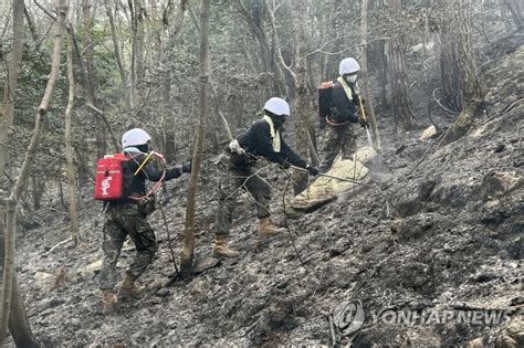 대응 3단계 순천 산불 하루 만에야 주불 진압 파이낸셜뉴스