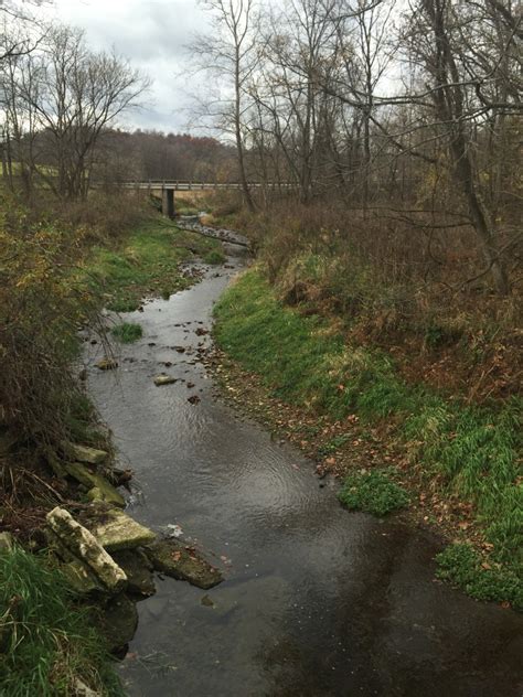 Stream Mohicanville Water Quality Of The Mohican Watershed