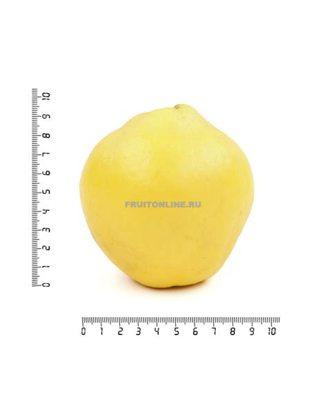 Купить айву в Fruitonline