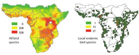 Species Richness For All 1599 Species Of Birds Endemic To Africa