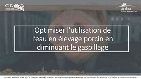 Optimiser Lutilisation De Leau En Levage Porcin En Diminuant Le