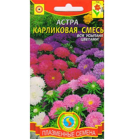 Астра Карликовая смесь "Плазменные семена" 🏆 – купить семена в Перми