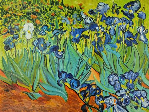 Vincent Van Gogh Irysy X Galeria Pi Kne Obrazy