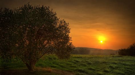 Wallpaper Sunlight Landscape Sunset Night Hill Nature Grass