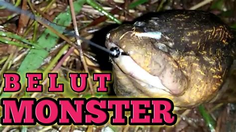 MANCING BELUT MONSTER Tarikannya Mantap Bikin Woow YouTube