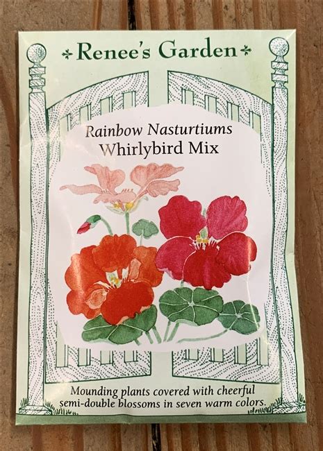 Renee S Garden Nasturtium Whirlybird