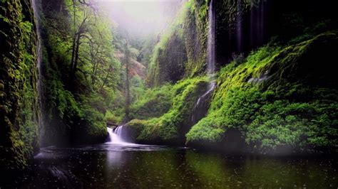 Free No Copyright Tropical Waterfall Rain River Forest Fog Nature Relaxi... | Desktop background ...