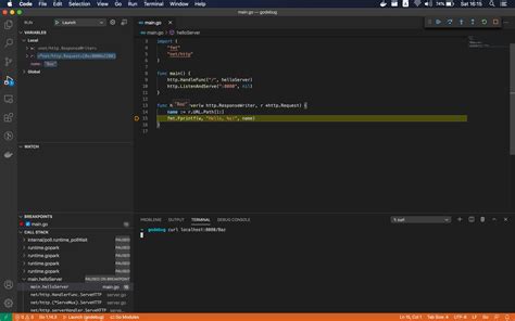 Debugging Go Code: Fixing 