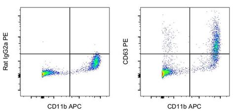 Rat Igg2a Kappa Isotype Control Pe 12 4321 80