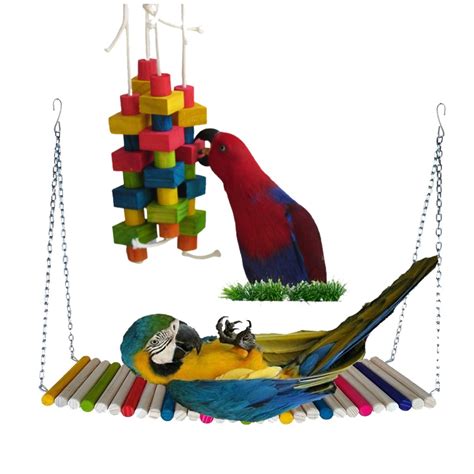 Brinquedos Para Arara